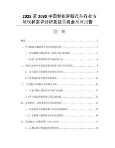 2025至2030中國智能穿戴設備行業(yè)市場現(xiàn)狀需求分析及投資機會預測報告