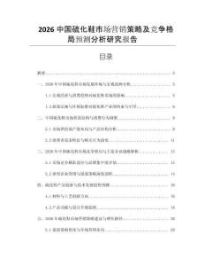 2026中國(guó)硫化鞋市場(chǎng)營(yíng)銷(xiāo)策略及競(jìng)爭(zhēng)格局預(yù)測(cè)分析研究報(bào)告