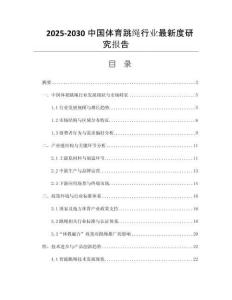 2025-2030中國體育跳繩行業(yè)最新度研究報告