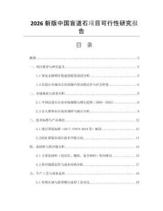 2026新版中國(guó)盲道石項(xiàng)目可行性研究報(bào)告