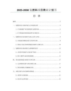 2025-2030氫燃料項(xiàng)目商業(yè)計(jì)劃書