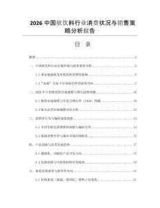 2026中國(guó)軟飲料行業(yè)消費(fèi)狀況與銷售策略分析報(bào)告