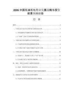 2026中國石油石化行業(yè)發(fā)展戰(zhàn)略與投資前景預(yù)測報(bào)告