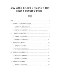 2026中國攝像頭麥克風(fēng)行業(yè)市場發(fā)展趨勢與前景展望戰(zhàn)略研究報告