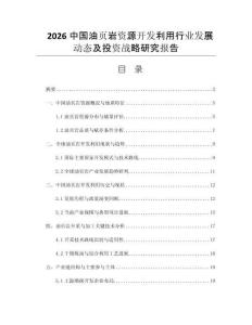 2026中國油頁巖資源開發(fā)利用行業(yè)發(fā)展動(dòng)態(tài)及投資戰(zhàn)略研究報(bào)告