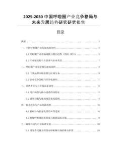 2025-2030中國呼啦圈產(chǎn)業(yè)競爭格局與未來發(fā)展趨勢研究研究報告