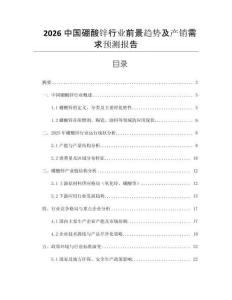 2026中國硼酸鋅行業(yè)前景趨勢及產(chǎn)銷需求預(yù)測報(bào)告
