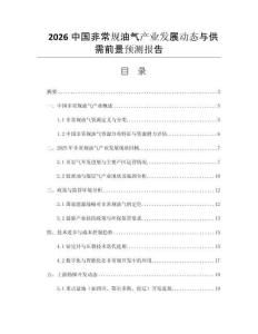 2026中國非常規(guī)油氣產(chǎn)業(yè)發(fā)展動(dòng)態(tài)與供需前景預(yù)測報(bào)告