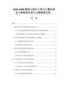 2025-2030數(shù)控車床行業(yè)市場發(fā)展分析及競爭格局與投資戰(zhàn)略研究報(bào)告
