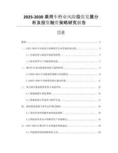 2025-2030乘用車行業(yè)風(fēng)險投資發(fā)展分析及投資融資策略研究報告