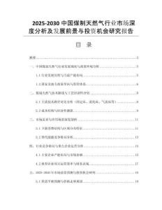 2025-2030中國(guó)煤制天然氣行業(yè)市場(chǎng)深度分析及發(fā)展前景與投資機(jī)會(huì)研究報(bào)告