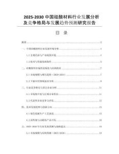 2025-2030中國硅酸材料行業發展分析及競爭格局與發展趨勢預測研究報告