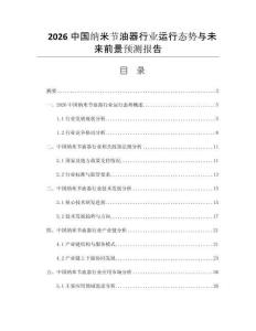 2026中國納米節(jié)油器行業(yè)運行態(tài)勢與未來前景預(yù)測報告
