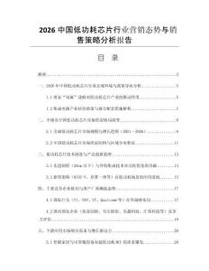 2026中國(guó)低功耗芯片行業(yè)營(yíng)銷態(tài)勢(shì)與銷售策略分析報(bào)告