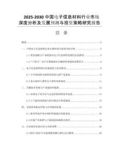 2025-2030中國電子信息材料行業(yè)市場深度分析及發(fā)展預(yù)測與投資策略研究報告
