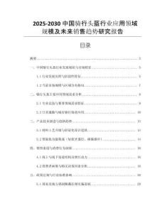 2025-2030中國騎行頭盔行業(yè)應用領域規(guī)模及未來銷售趨勢研究報告