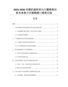 2025-2030中國扒渣機市場發(fā)展格局分析與未來營銷策略探討研究報告