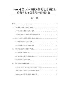 2026中國CIGS薄膜太陽能電池板行業(yè)前景動態(tài)與供需趨勢預(yù)測報(bào)告