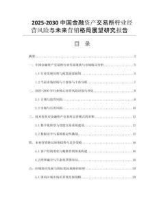 2025-2030中國金融資產(chǎn)交易所行業(yè)經(jīng)營風(fēng)險(xiǎn)與未來營銷格局展望研究報(bào)告