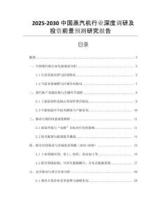 2025-2030中國(guó)蒸汽機(jī)行業(yè)深度調(diào)研及投資前景預(yù)測(cè)研究報(bào)告
