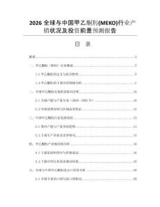 2026全球與中國甲乙酮肟(MEKO)行業(yè)產(chǎn)銷狀況及投資前景預(yù)測報告