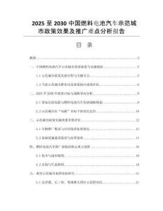 2025至2030中國燃料電池汽車示范城市政策效果及推廣難點分析報告