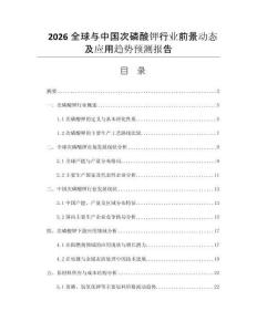 2026全球與中國(guó)次磷酸鉀行業(yè)前景動(dòng)態(tài)及應(yīng)用趨勢(shì)預(yù)測(cè)報(bào)告