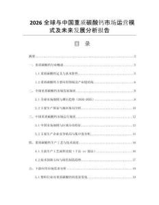 2026全球與中國重質碳酸鈣市場運營模式及未來發展分析報告