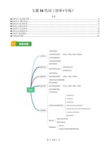 專題16 代詞（清單+專練）（解析版）-A4