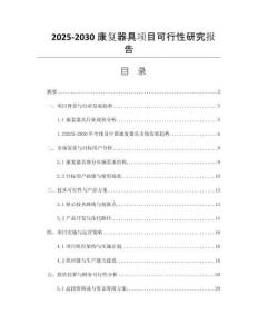 2025-2030康復(fù)器具項目可行性研究報告