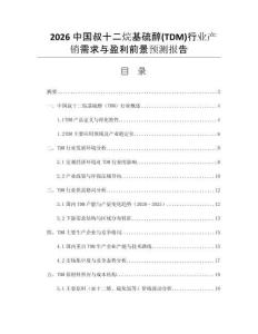 2026中國叔十二烷基硫醇(TDM)行業(yè)產(chǎn)銷需求與盈利前景預測報告