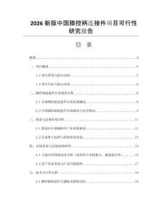 2026新版中國膝控柄連接件項(xiàng)目可行性研究報告