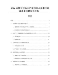 2026中國鍍鎳金剛石微粉行業(yè)供需現(xiàn)狀及未來戰(zhàn)略規(guī)劃報告