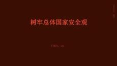 樹牢總體國家安全觀