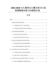 2025-2030熱軋卷市場(chǎng)發(fā)展現(xiàn)狀調(diào)查及供需格局分析預(yù)測(cè)研究報(bào)告