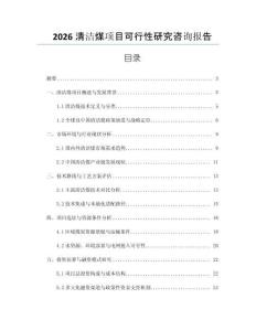 2026清潔煤項目可行性研究咨詢報告