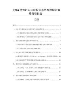 2026皮包行業(yè)風險投資態(tài)勢及投融資策略指引報告