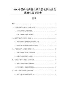 2026中國(guó)蜂窩煤行業(yè)投資契機(jī)及經(jīng)營(yíng)發(fā)展建議分析報(bào)告