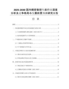 2025-2030國(guó)內(nèi)精密數(shù)控車(chē)床行業(yè)深度分析及競(jìng)爭(zhēng)格局與發(fā)展前景預(yù)測(cè)研究報(bào)告