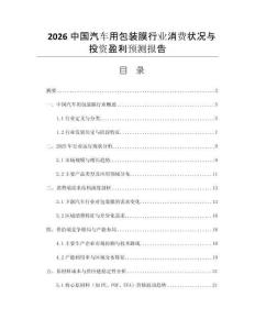 2026中國汽車用包裝膜行業(yè)消費(fèi)狀況與投資盈利預(yù)測報告