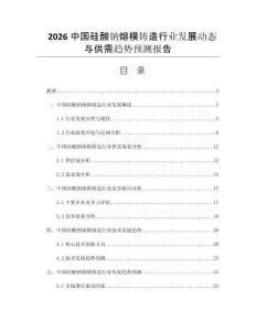 2026中國硅酸鈉熔模鑄造行業(yè)發(fā)展動態(tài)與供需趨勢預(yù)測報告