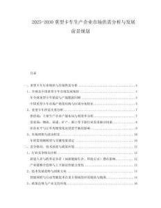 2025-2030重型卡車生產(chǎn)企業(yè)市場供需分析與發(fā)展前景規(guī)劃