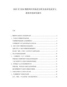 2025至2030物聯(lián)網應用場景分析及商業(yè)化前景與投資價值研究報告