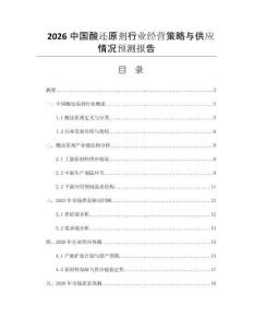 2026中國酸還原劑行業(yè)經(jīng)營策略與供應(yīng)情況預(yù)測報告