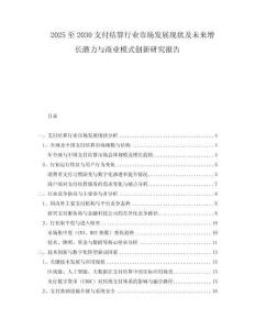2025至2030支付結算行業(yè)市場發(fā)展現(xiàn)狀及未來增長潛力與商業(yè)模式創(chuàng)新研究報告