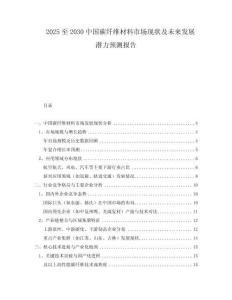 2025至2030中國碳纖維材料市場現(xiàn)狀及未來發(fā)展?jié)摿︻A測報告