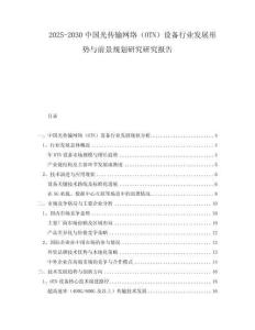 2025-2030中國光傳輸網(wǎng)絡(luò)（OTN）設(shè)備行業(yè)發(fā)展形勢與前景規(guī)劃研究研究報(bào)告