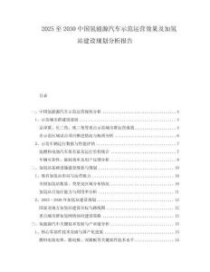2025至2030中國氫能源汽車示范運營效果及加氫站建設規(guī)劃分析報告