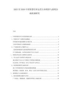 2025至2030中國智慧燈桿運營主體博弈與盈利分成機制研究