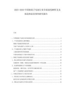 2025-2030中國(guó)鈉離子電池行業(yè)全面深度解析及未來(lái)趨勢(shì)前景預(yù)判研究報(bào)告